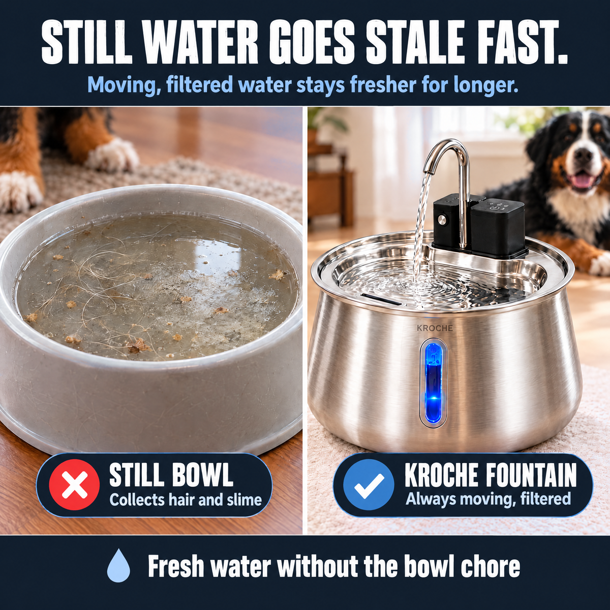 Still bowl vs. KROCHE moving, filtered water